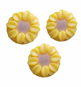 Sunflower Soaps: Mulled Cider