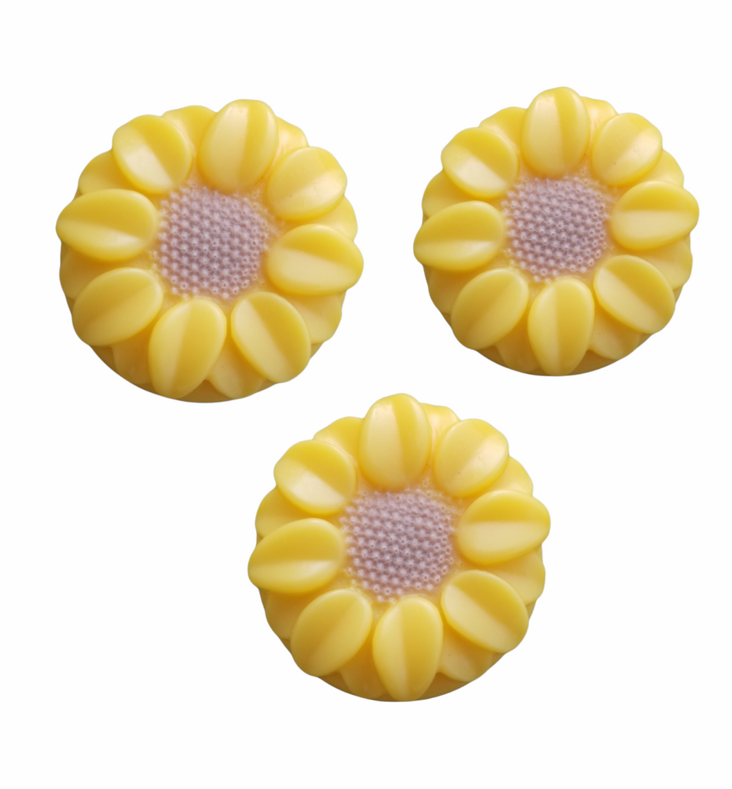 Sunflower Soaps: Mulled Cider
